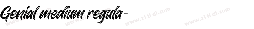 Genial medium regula字体转换